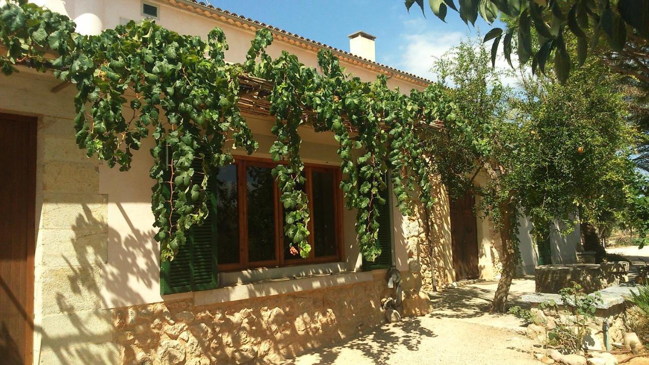 Son Jordi Nou, Beautiful Near Alaro Big Swimming Pool, Bbq Mountain Views 12people Consell