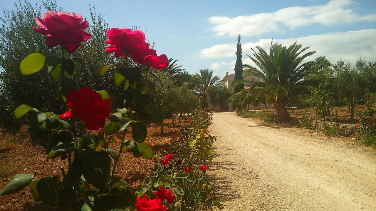 Son Jordi Nou, Beautiful Near Alaro Big Swimming Pool, Bbq Mountain Views 12people Consell