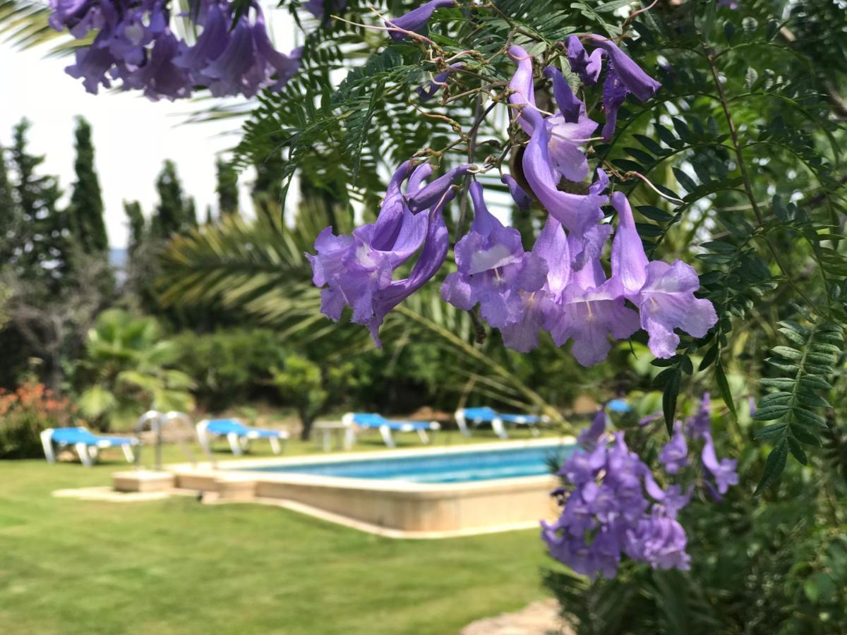Villa Son Jordi Nou, Beautiful Near Alaro Big Swimming Pool, Bbq Mountain Views 12people