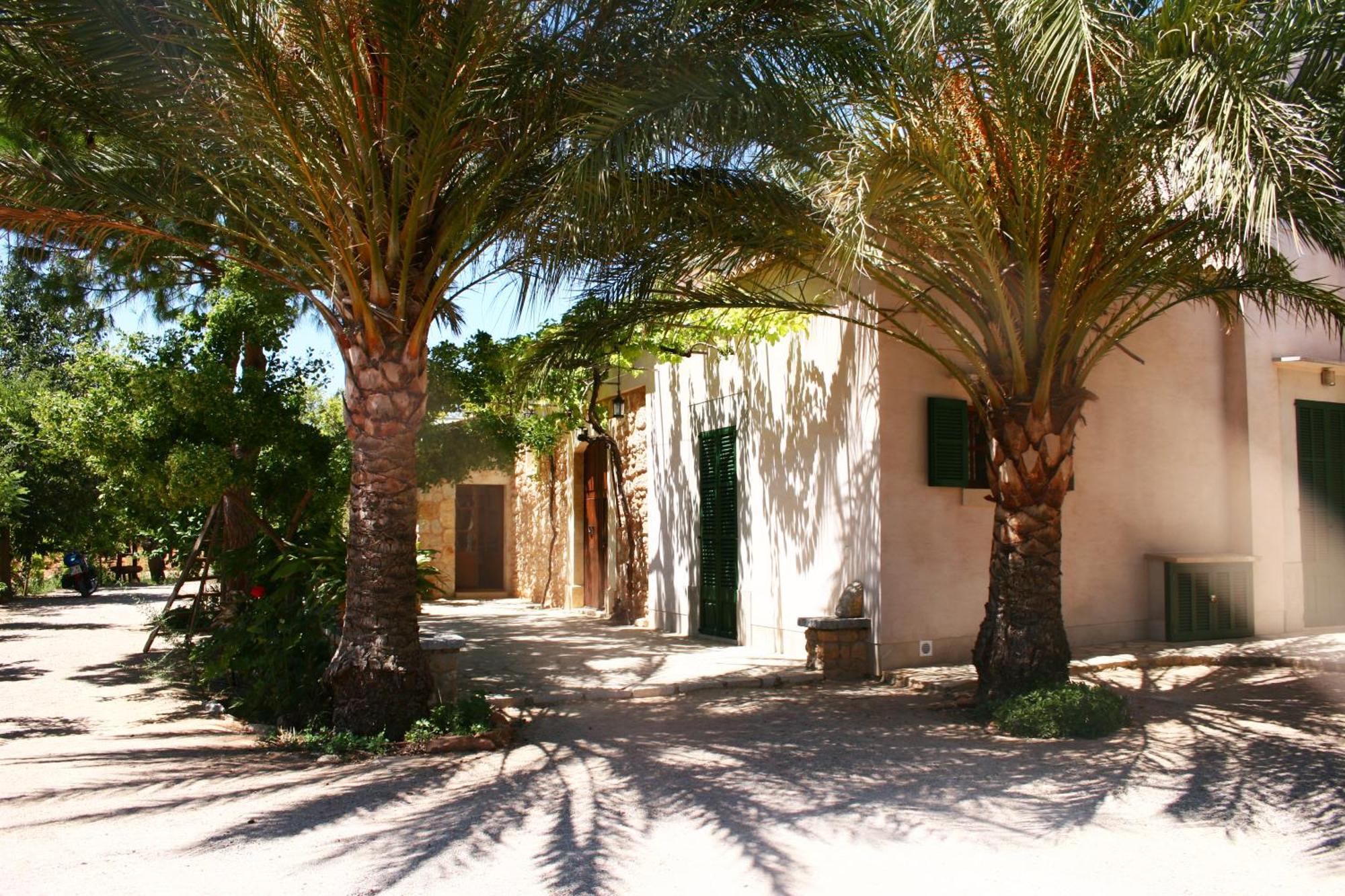 Son Jordi Nou, Beautiful Near Alaro Big Swimming Pool, Bbq Mountain Views 12people *