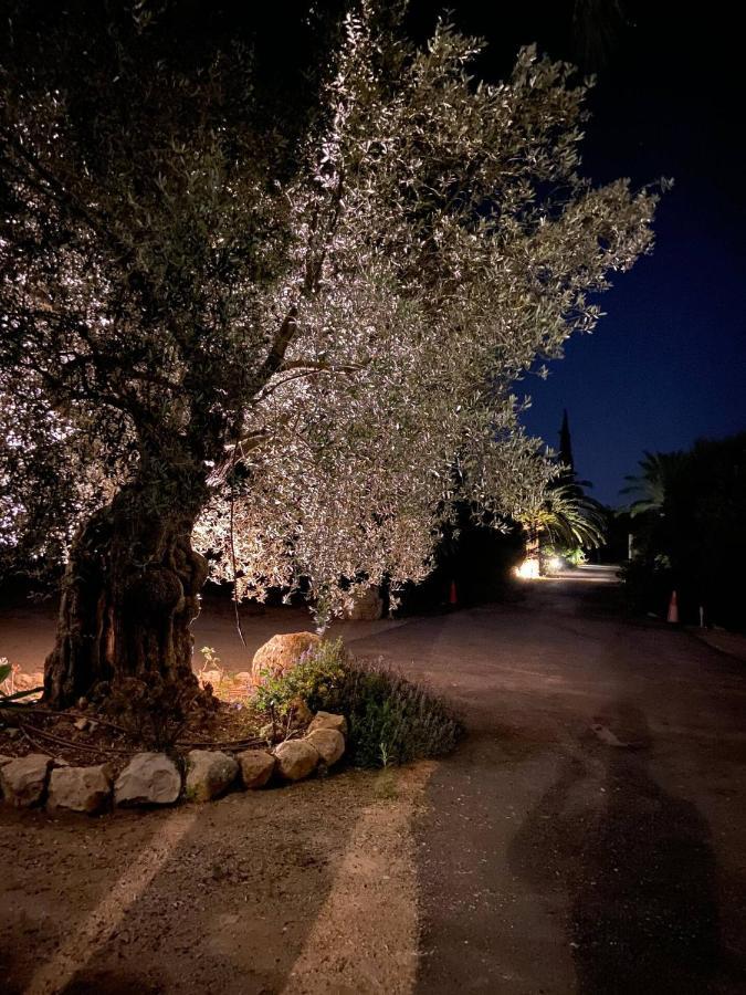 Son Jordi Nou, Beautiful Near Alaro Big Swimming Pool, Bbq Mountain Views 12people *