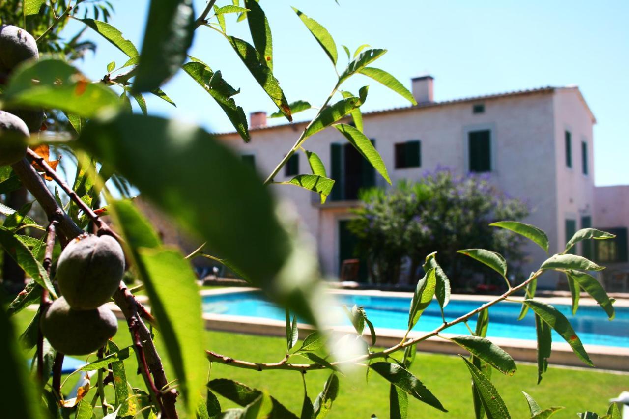 Son Jordi Nou, Beautiful Near Alaro Big Swimming Pool, Bbq Mountain Views 12people * Consell