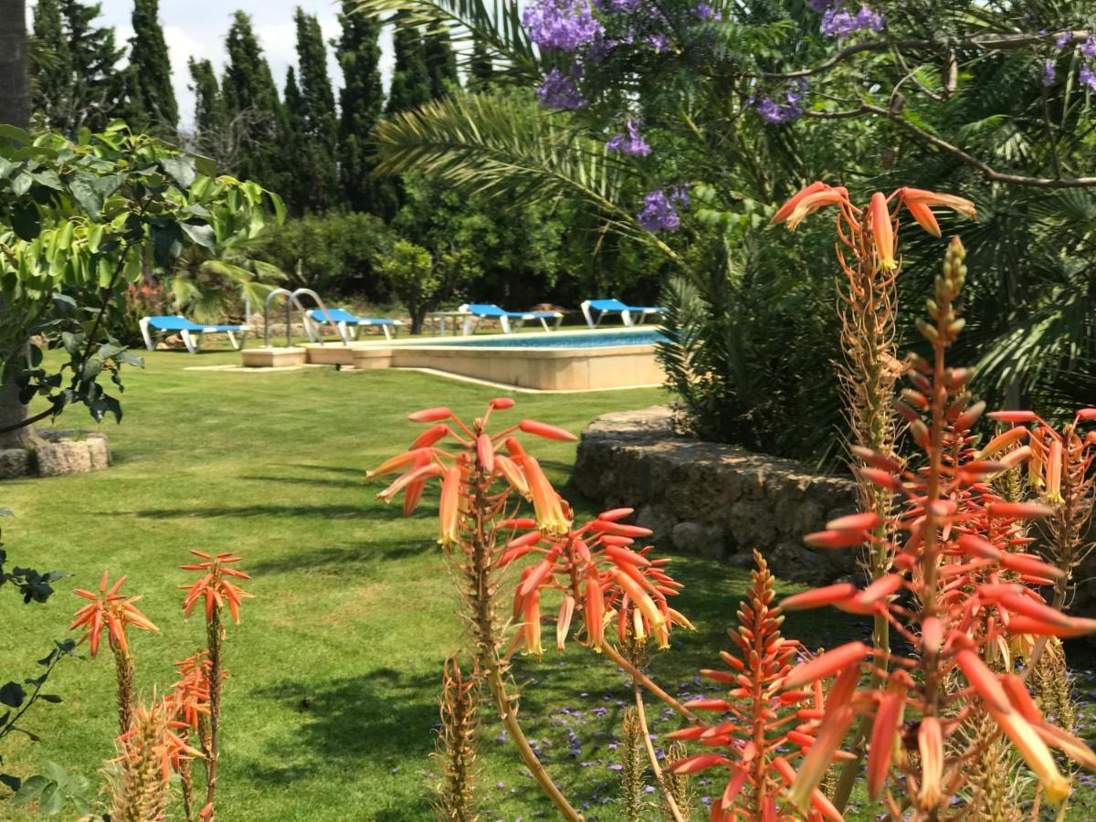 Villa Son Jordi Nou, Beautiful Near Alaro Big Swimming Pool, Bbq Mountain Views 12people *