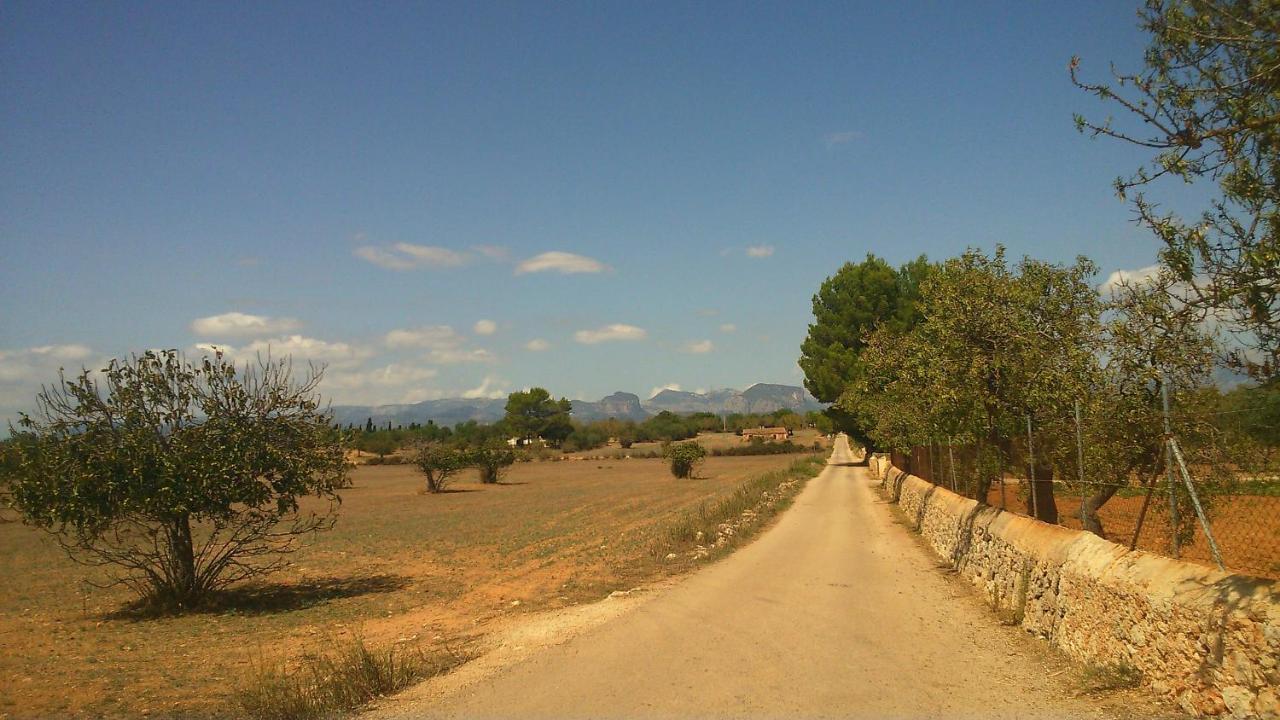 Son Jordi Nou, Beautiful Near Alaro Big Swimming Pool, Bbq Mountain Views 12people