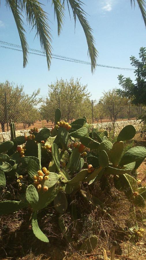 Son Jordi Nou, Beautiful Near Alaro Big Swimming Pool, Bbq Mountain Views 12people Villa *